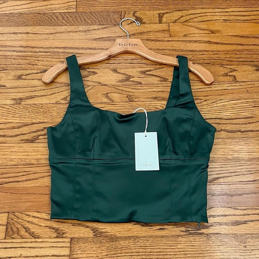 ARITZIA SHINE BUSTIER